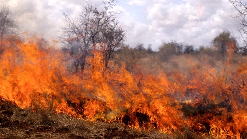 Пожар бушува между две ямболски села