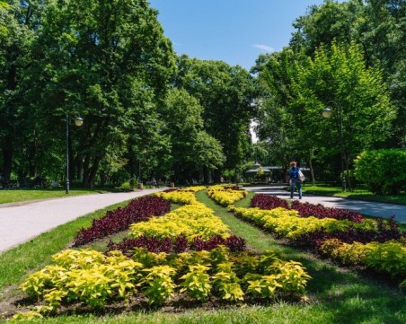 Слънчева и топла неделя в Пловдив