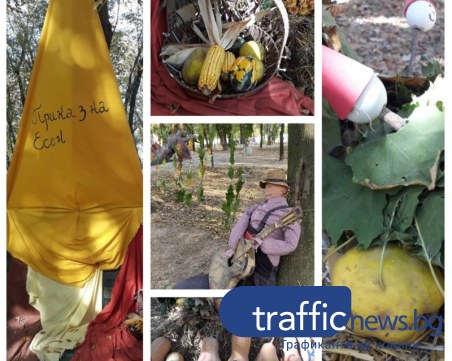 Ново място за есенни снимки – в приказна гора на 20 минути от Пловдив