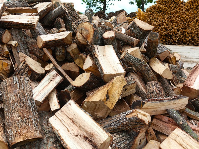 Три пъти поскъпват дървата за огрев от държавния склад до частните
