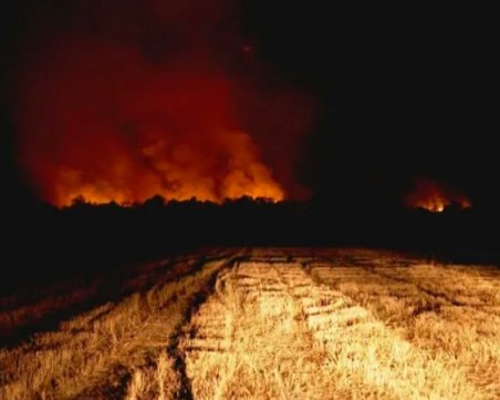 Потушиха огъня в района на „Мини Марица-изток