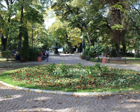 Разкрасяват Пловдив с хиляди есенни цветя