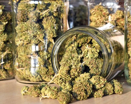 Иззеха солидно количество наркотици от мъж край Пазарджик