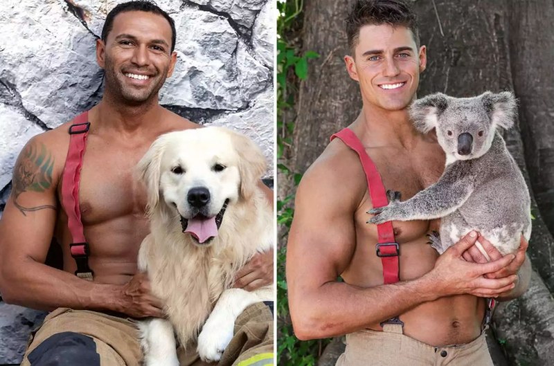 Секси австралийски пожарникари без ризи и сладки животинки отново с календар