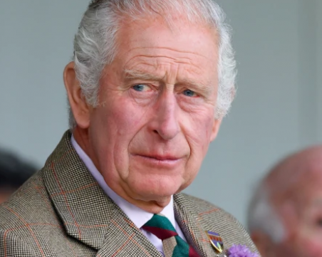 Крал Чарлз III не иска да бъде заместван от принцовете Андрю и Хари в случай на болест
