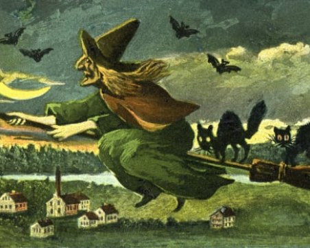 Защо черните котки се свързват с Хелоуин и лошия късмет