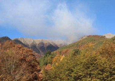 Пожарът който избухна в Рила планина вчера следобед вече е