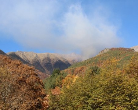 Пожарът в Рила е ограничен