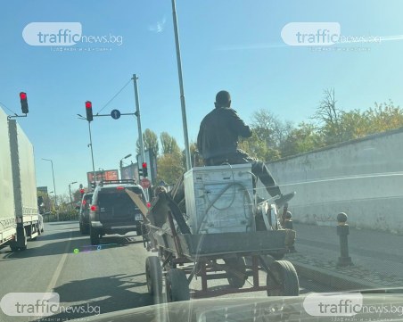 Въпреки забраната: Каруци продължават да се движат по пловдивските булеварди