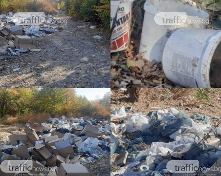 Нерегламентирани сметища постоянно „красят” пресечка край Рогошко шосе