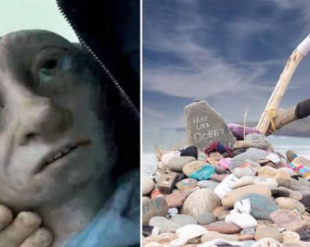 Апел: Не оставяйте камъчета на гроба на духчето Доби от Хари Потър