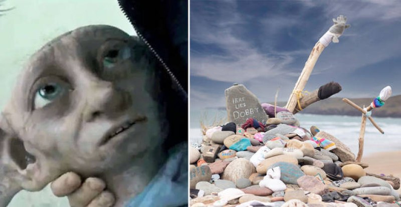 Апел: Не оставяйте камъчета на гроба на духчето Доби от Хари Потър