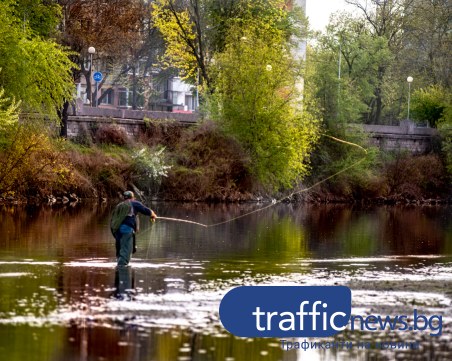 Проф. Рачев: Златната есен ще продължи до 11 ноември