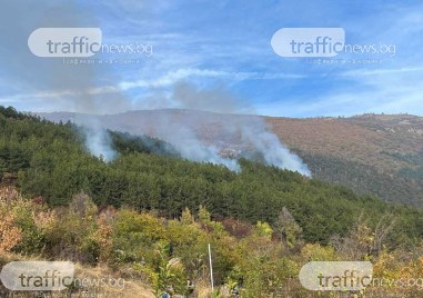 Низов пожар с три огнища в борова гора над ВЕЦ