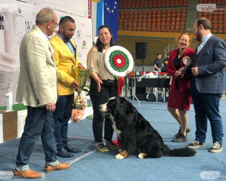 Две киноложки изложби събират 64 различни породи кучета в зала „Колодрума