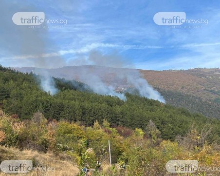 Низов пожар с три огнища бушува до Карлово