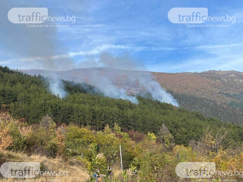 Низов пожар с три огнища в борова гора над ВЕЦ
