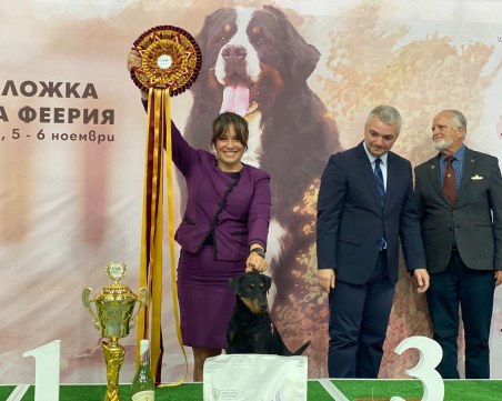 Киноложката изложба в Колодрума като седмицата на модата в Париж