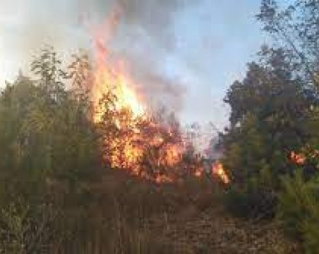 Военен хеликоптер гаси пожара на полигона 