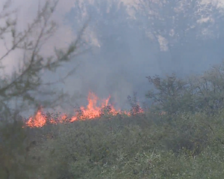 Бойни машини се включват в гасенето на пожара в Ново село