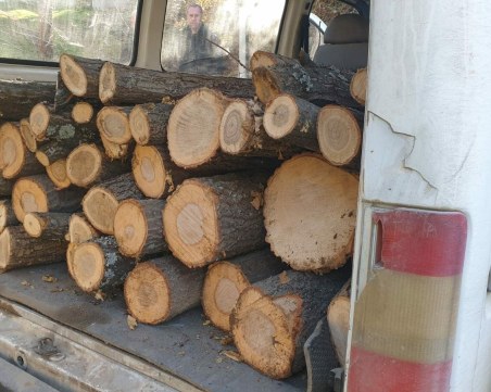 Горски служител бе залят с бензин, спрял микробус с незаконна дървесина