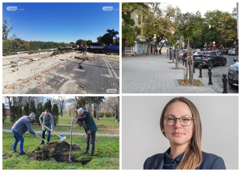Експерти vs Общината: Зелената система в Пловдив - нужна на гражданите, но не и на управляващите