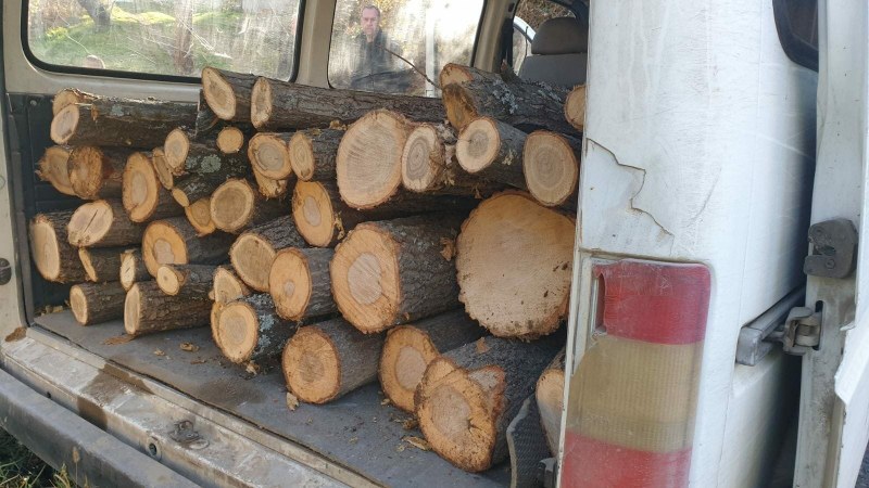 Горски служител бе залят с бензин, спрял микробус с незаконна дървесина