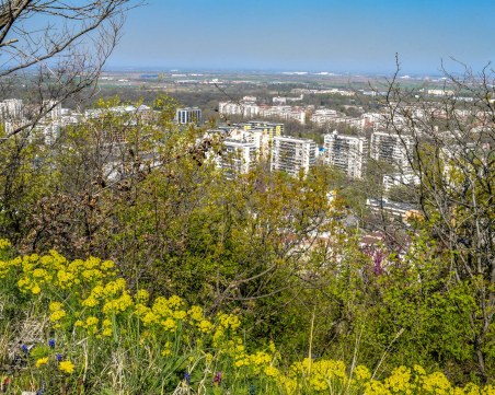 Проф. Рачев: Сериозното застудяване започва след седмица