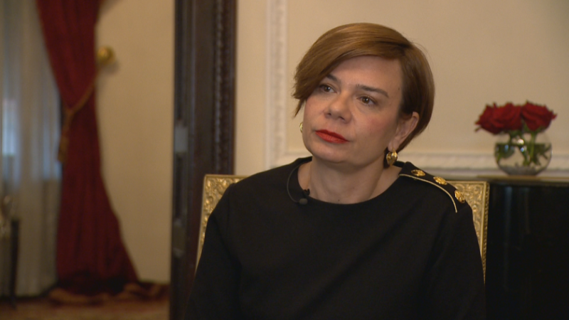 Задържан е извършителят на стрелбата на границата с Турция, при