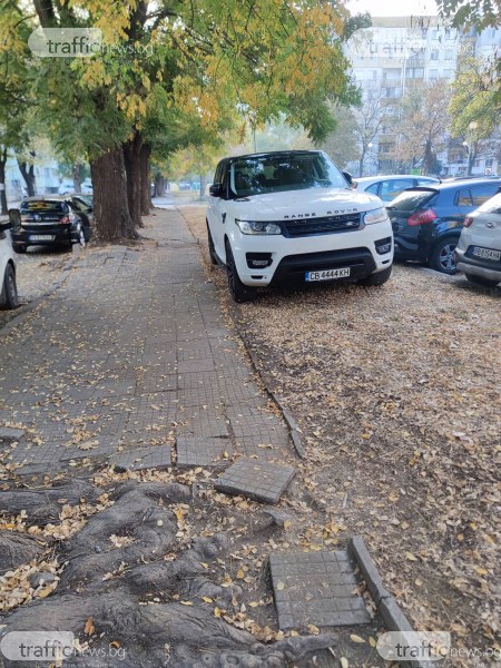 Четворкаджия спря колата си на зелени площи до паркинг в Смирненски