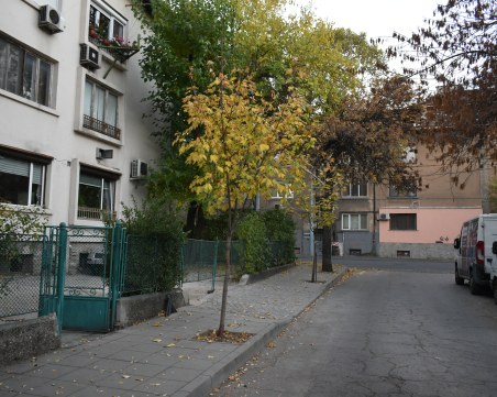 Експертният съвет по озеленявате бойкотира Община Пловдив, властта отрича да има конфликт