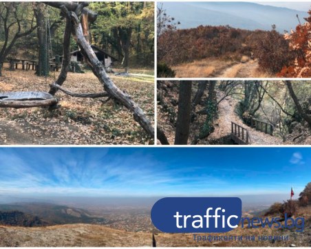 На крачка от Пловдив: Калоянов връх - перфектна уикенд дестинация, дори и за ноември