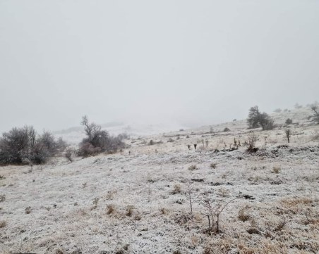 Зимна приказка! Първи сняг покри села от Родопската яка