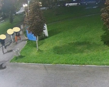 Издирват младежи след вандалска проява извършена в парк в Тракия