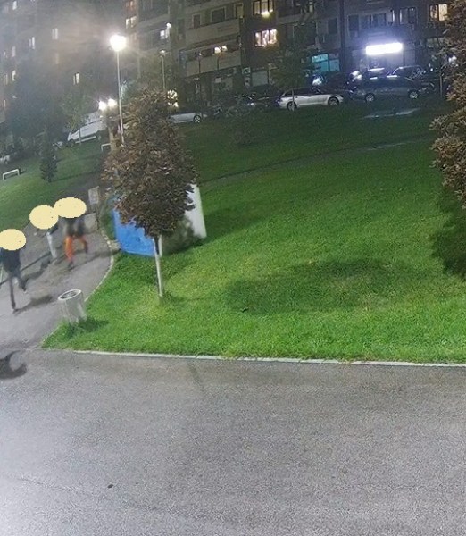 Издирват младежи след вандалска проява извършена в парк в Тракия