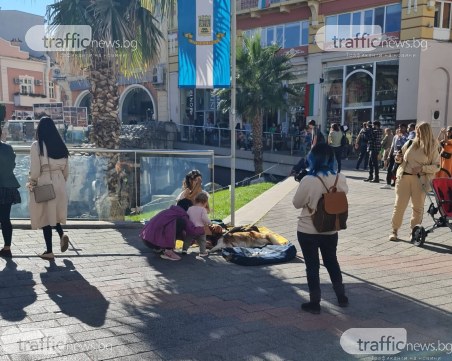 Прогониха момичето с арфа от Джумаята