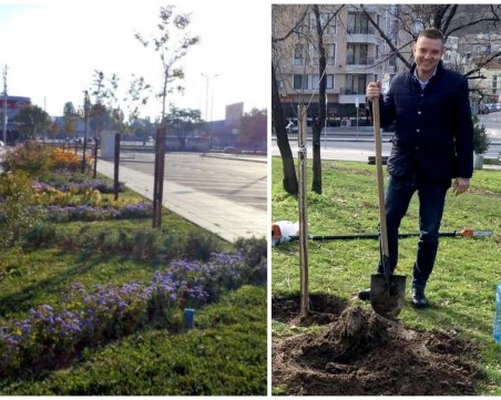 Залесителна или пиар акция: Знаят ли за какво говорят „Градини и паркове