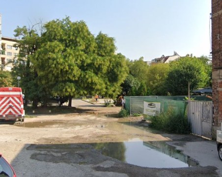 Пловдивчанка превърна „кално петно” в хранилка, взе 14 бона от Общината за втори път