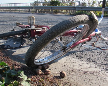 След 6 години забавяне: Фалстарт на дело за прегазен колоездач на пътя Карлово-Пловдив