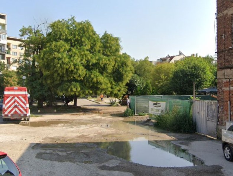 Пловдивчанка превърна „кално петно” в хранилка, взе 14 бона от Общината за втори път