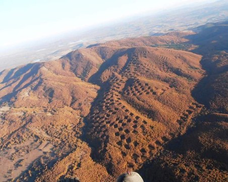 Хубава си моя горо, но може да останеш само в песните!