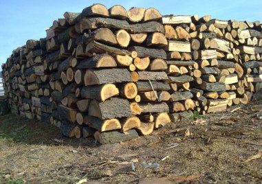 Раздаването на безплатните дърва за пострадалите семейства в наводнените села