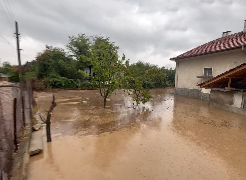 Започна раздаването на безплатни дърва в Карловско след наводненията