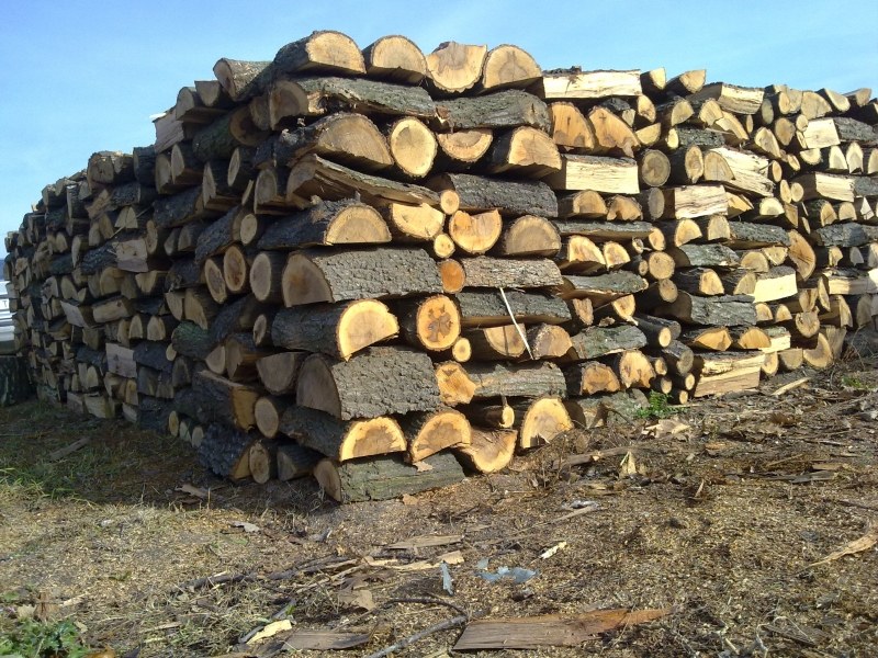 Раздаването на безплатните дърва за пострадалите семейства в наводнените села
