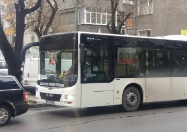 Два малки автобуса щъркели се появиха по линия 1 най натоварената