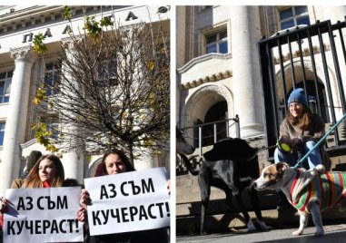 Протест пред Съдебната палата в София срещу насилника на бездомното куче