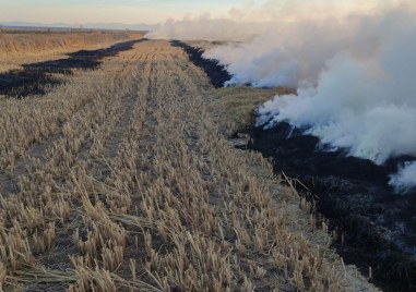Горят сухи треви на нива край Пловдив Огънят е пламнал