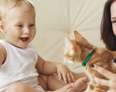 Съвети при отглеждане на котка с малко дете