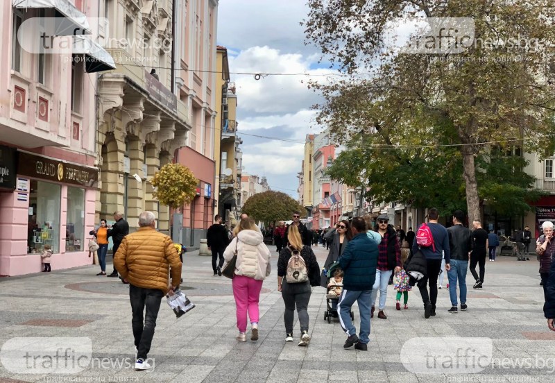 Колко българи, турци и роми живеят в Пловдив и областта?