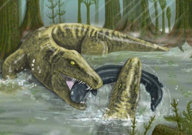 Тиранозавър рекс често е наричан Кралят на динозаврите. Ново изследване